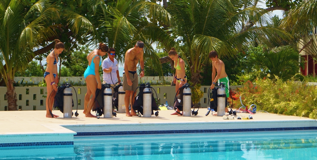 Dive Curious Family