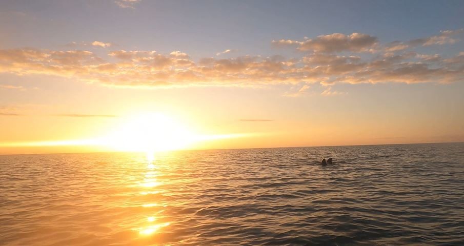 Kayaking-With-Dolphins---St.-Georges-Caye-Resort-Beliz_20210309-194651_1