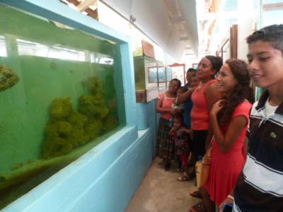 Students learning about local wildlife.