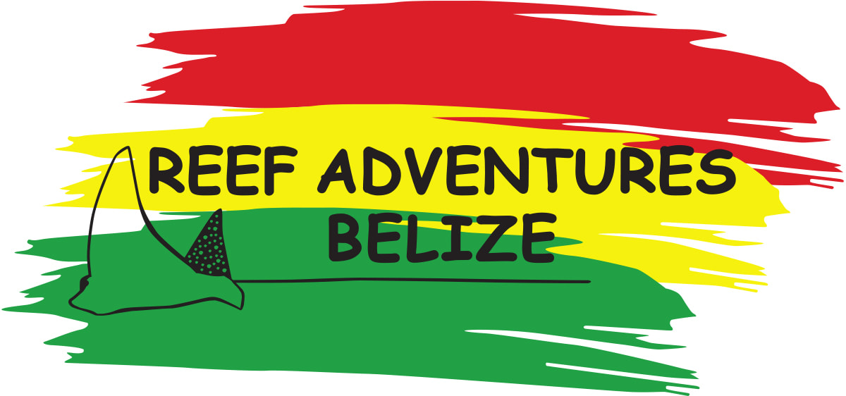 reef adventures belize logo